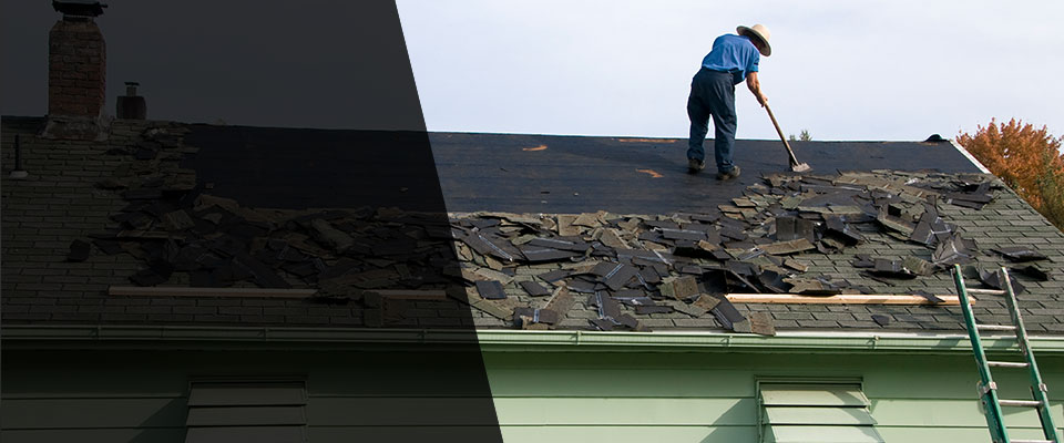 Cougar Roofing Contractors
